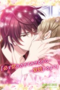魔恋被魔界王子们追求的女勇者中文版(まおこいっ！) v1.0.0 Android汉化版